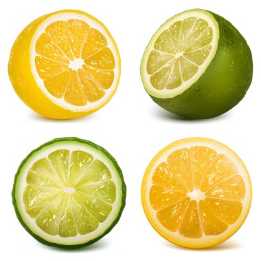 Vector citrus fruits lime and lemon. clipart