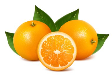 Vector fresh ripe oranges with leaves