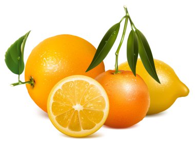 Vector fresh ripe oranges with leaves clipart