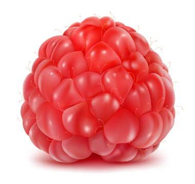 Ripe raspberries clipart