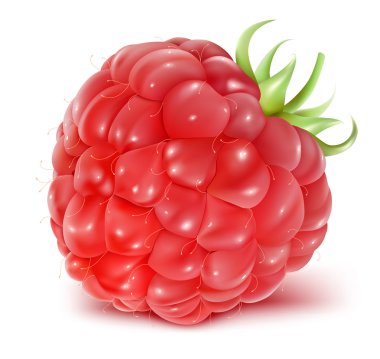 Ripe raspberries clipart