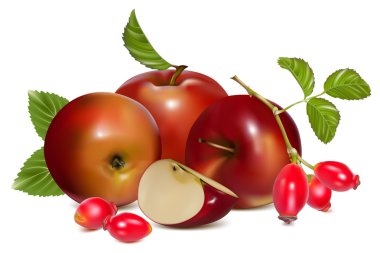 Red ripe apples and rose hip clipart