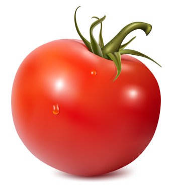 Tomato with water drops. clipart