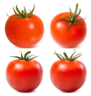 Ripe tomatoes clipart