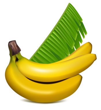 Ripe yellow bananas with leaves clipart