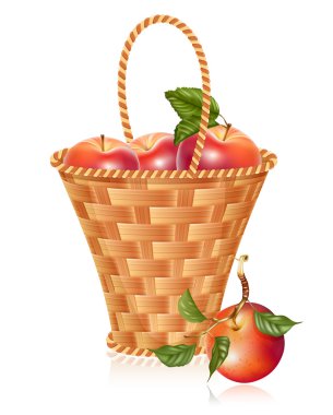 Red ripe apples in the basket. clipart