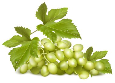 Green grapes with leaves. clipart