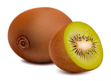 Kiwi clipart