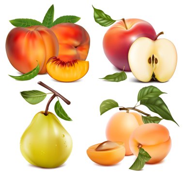 Vector set of fruits clipart