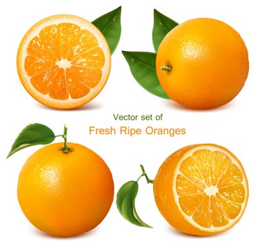 Fresh ripe oranges with leaves clipart