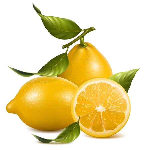 Fresh lemons with leaves. — Stock Vector