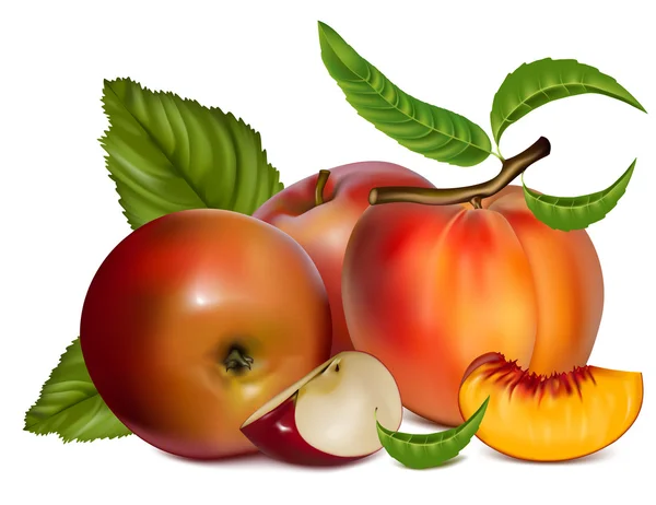 Frutti vettoriali — Vettoriale Stock