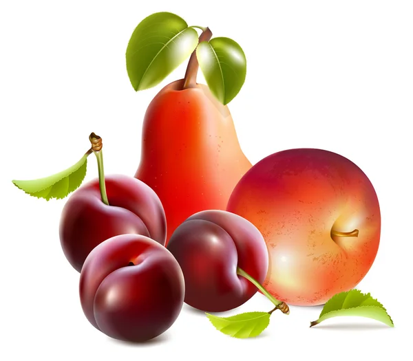 Fruits vecteurs — Image vectorielle