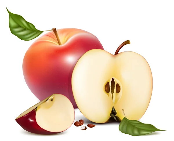 Mogna röda äpplen med gröna blad. — Stock vektor