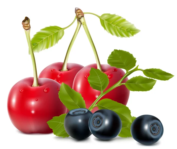 Photo-realistic vector of cherries and blueberries with leaves. — Stock Vector