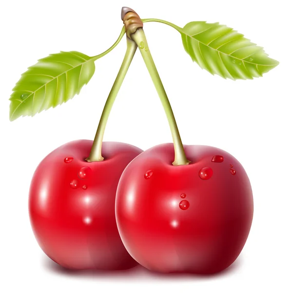 Cherries with water drops. — Stock Vector