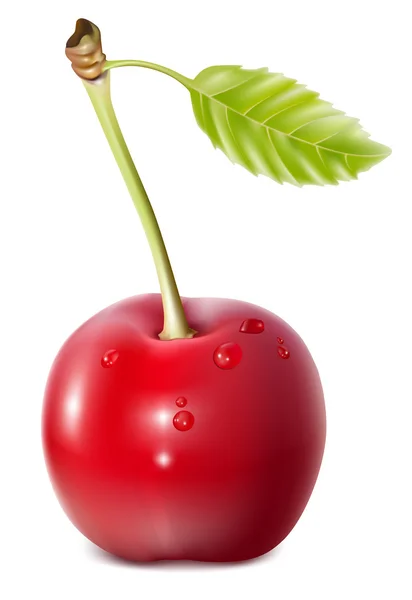 Cherry med vattendroppar. — Stock vektor