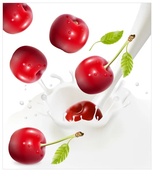 Ripe red cherries falling into the milky splash. — Stock Vector