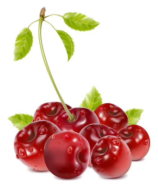 Ripe cherries with water drops and leaves. — Stock Vector