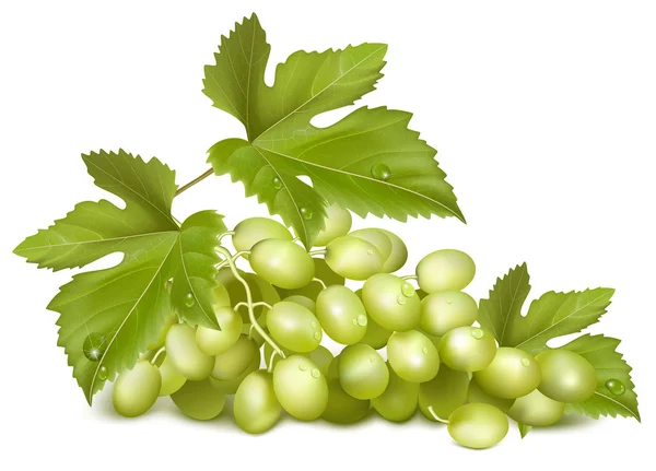 Uvas verdes con hojas . — Vector de stock