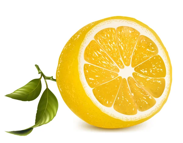 Vektor. frische Zitrone mit Blättern. — Stockvektor