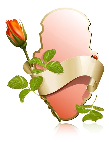 Étiquette romantique avec ruban, coccinelle et rose . — Image vectorielle