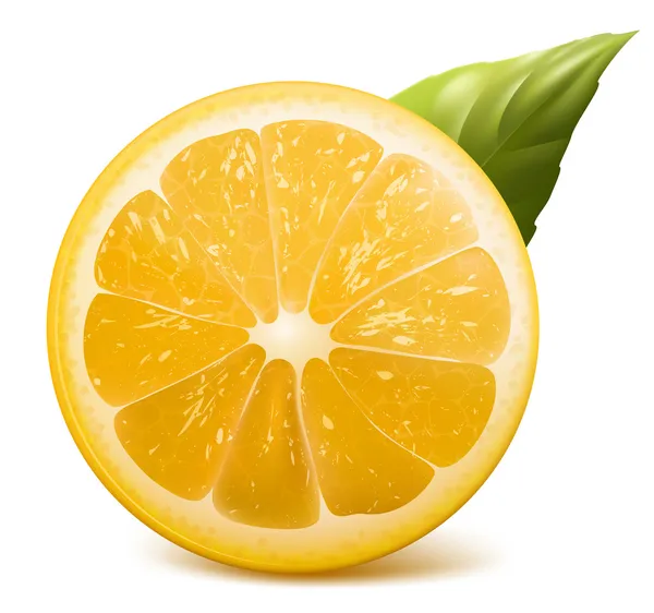 Verse citroen. — Stockvector