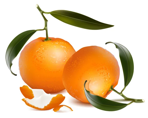 Mandarine fraîche aux feuilles vertes . — Image vectorielle