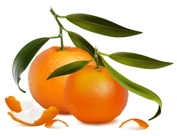 Mandarina fresca con hojas verdes . — Archivo Imágenes Vectoriales