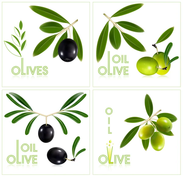 Gröna oliver med blad. — Stock vektor