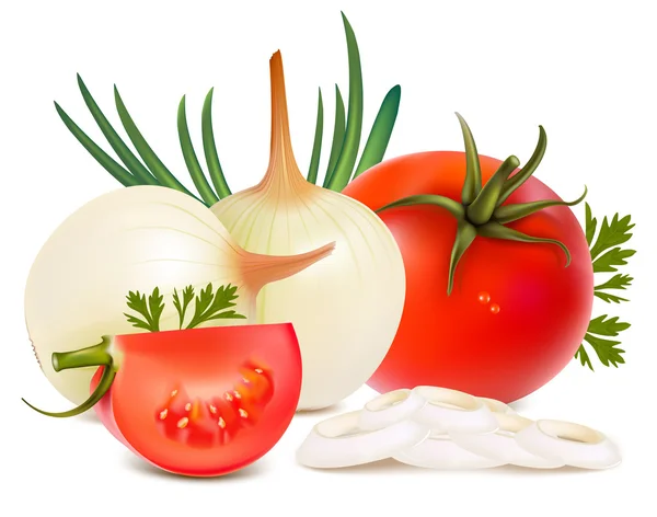 Soğan ve domates — Stok Vektör