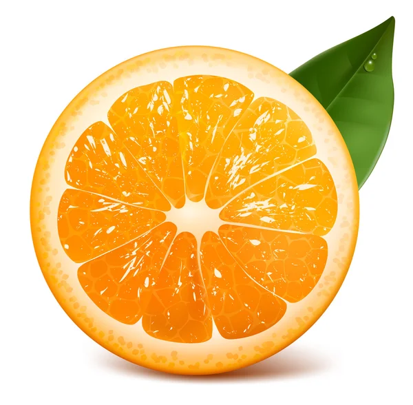 Naranja fresca madura — Vector de stock