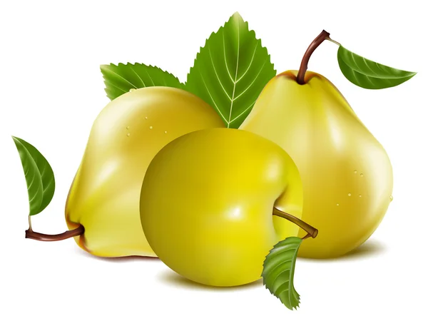 Manzana y peras . — Archivo Imágenes Vectoriales