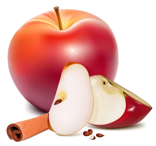 Rijpe rode appels met groene bladeren en kaneel. — Stockvector