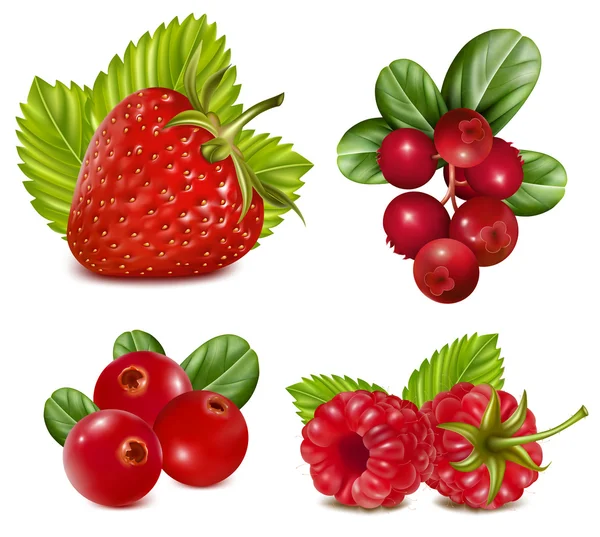 Набор красных ягод с листьями . — стоковый вектор