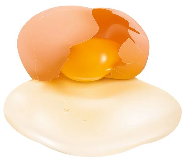 Fotó-realisztikus vektoros illusztráció egy sor törött tojás. — Stock Vector