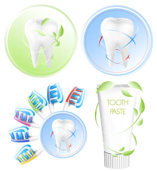 Weißer Zahn, farbige Zahnbürste mit Zahnpasta. — Stockvektor