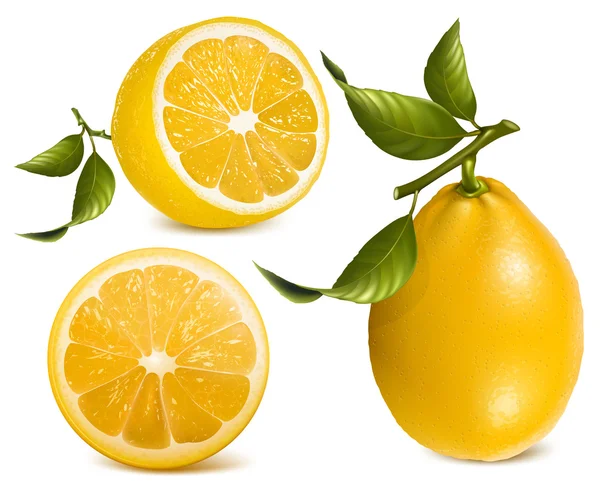 Свежие лимоны с листьями . — стоковый вектор