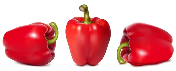 Červená sladká paprika — Stockový vektor