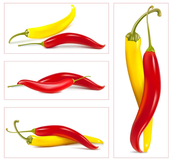 Hot chili peppers — Stock Vector