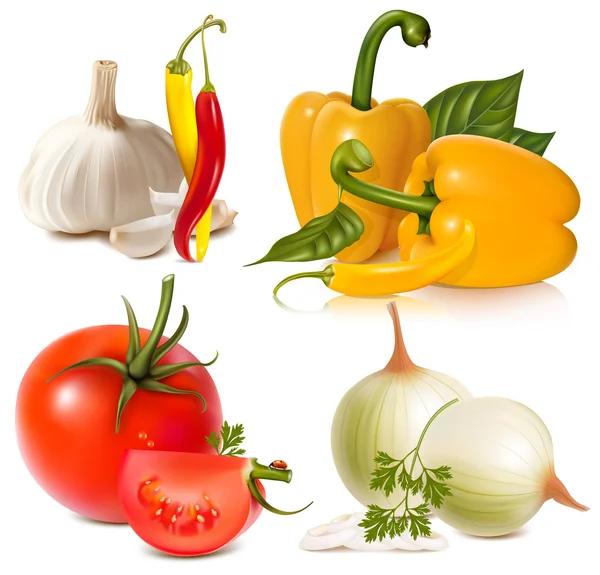 Vector set of vegetables: garlic, chili peppers, bell-peppers, tomatoes and onions — Stock Vector