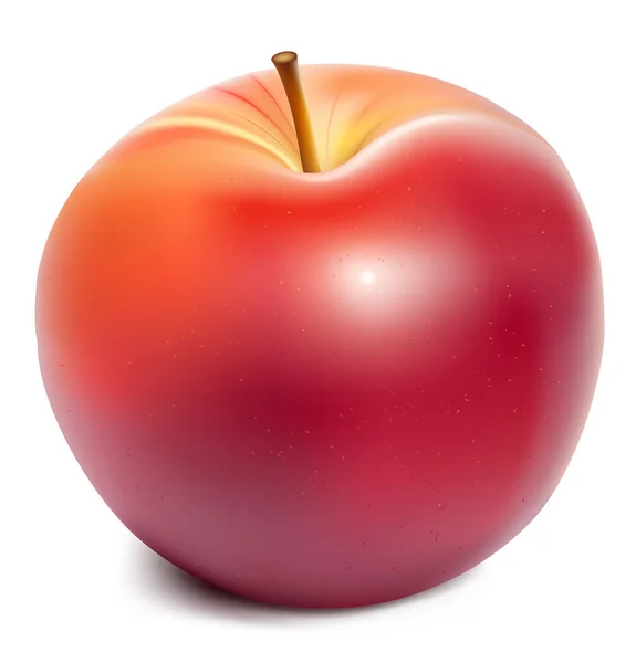 Manzana roja madura . — Vector de stock