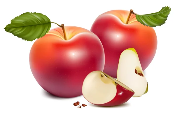 成熟的红苹果 — 图库矢量图片