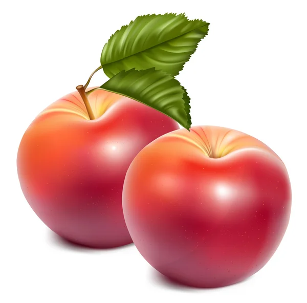 Стиглі червоні яблука — стоковий вектор
