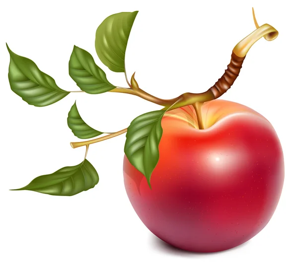 Moget rött äpple med gröna blad. — Stock vektor