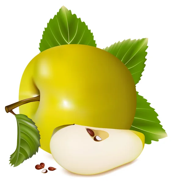 Pommes vertes . — Image vectorielle