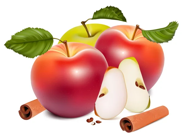 Mogna röda äpplen med kanel och gröna blad. — Stock vektor