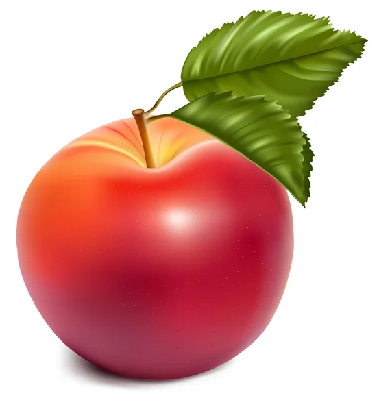 Olgun Kırmızı elma yeşil yaprakları ile. — Stok Vektör
