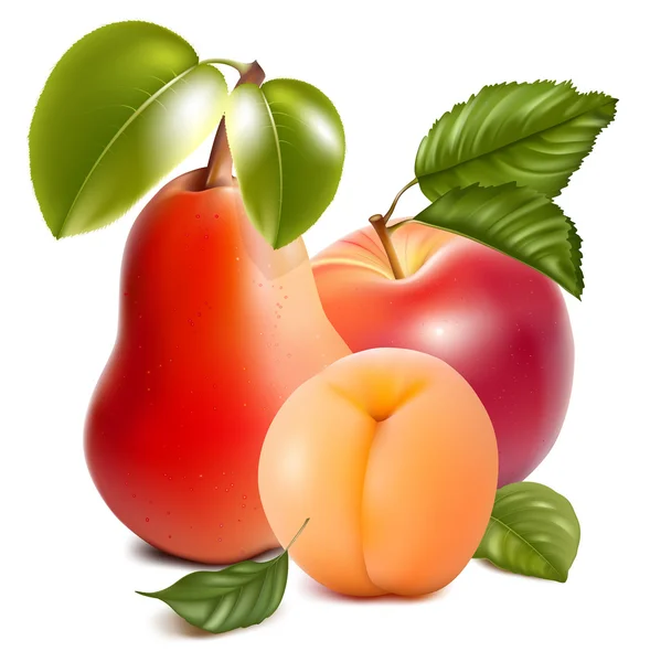 Спелое яблоко, груша и абрикос . — стоковый вектор