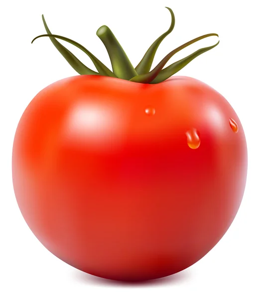 Tomate mit Wassertropfen. — Stockvektor